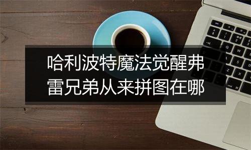哈利波特魔法觉醒弗雷兄弟从来拼图在哪