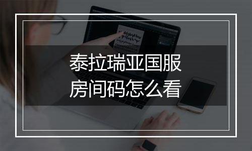 泰拉瑞亚国服房间码怎么看