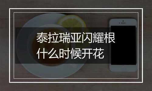 泰拉瑞亚闪耀根什么时候开花