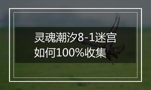 灵魂潮汐8-1迷宫如何100%收集