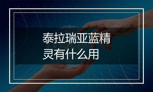 泰拉瑞亚蓝精灵有什么用