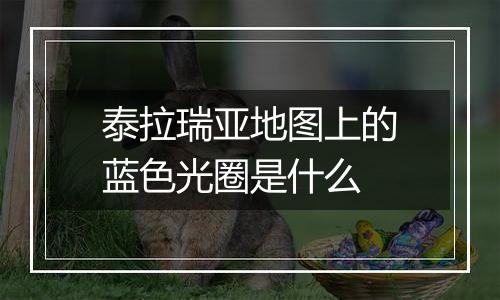 泰拉瑞亚地图上的蓝色光圈是什么