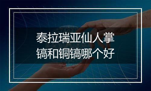 泰拉瑞亚仙人掌镐和铜镐哪个好