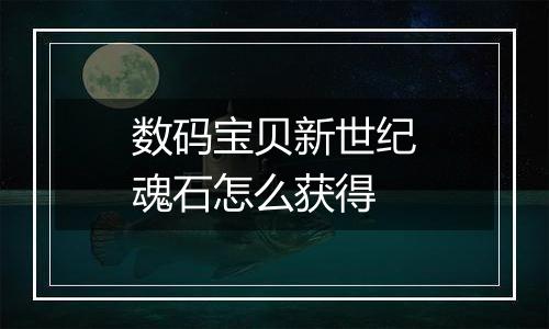 数码宝贝新世纪魂石怎么获得