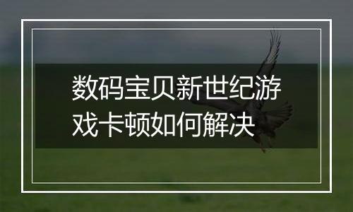 数码宝贝新世纪游戏卡顿如何解决