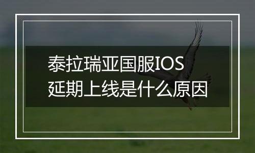 泰拉瑞亚国服IOS延期上线是什么原因