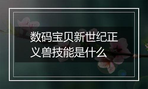 数码宝贝新世纪正义兽技能是什么