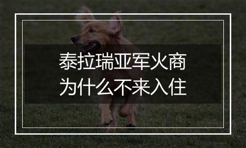 泰拉瑞亚军火商为什么不来入住
