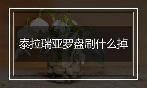 泰拉瑞亚罗盘刷什么掉