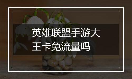 英雄联盟手游大王卡免流量吗