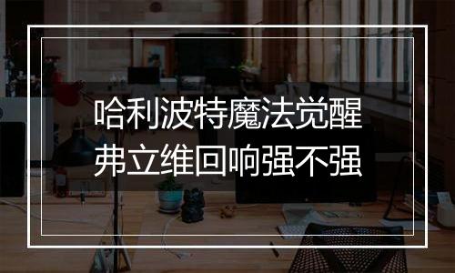 哈利波特魔法觉醒弗立维回响强不强