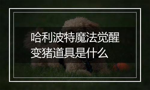 哈利波特魔法觉醒变猪道具是什么