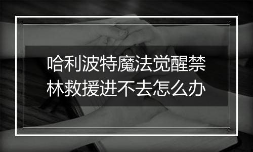 哈利波特魔法觉醒禁林救援进不去怎么办