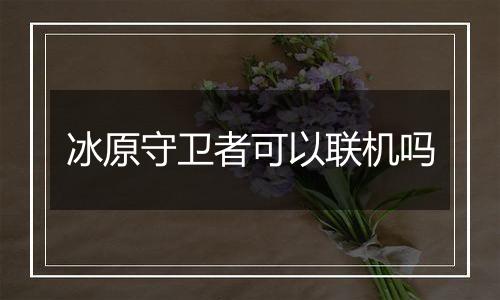 冰原守卫者可以联机吗