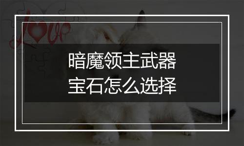 暗魔领主武器宝石怎么选择