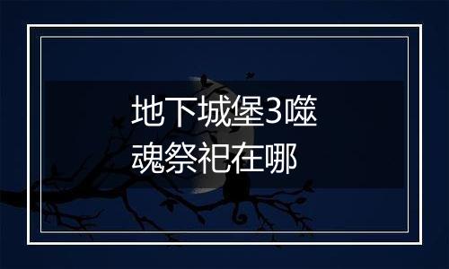 地下城堡3噬魂祭祀在哪