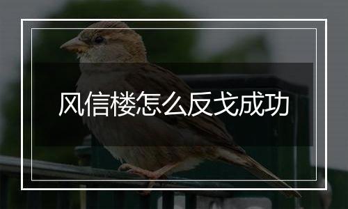 风信楼怎么反戈成功