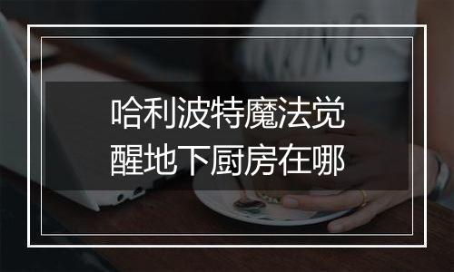 哈利波特魔法觉醒地下厨房在哪