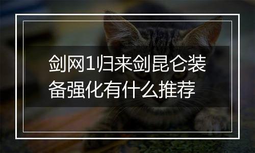 剑网1归来剑昆仑装备强化有什么推荐