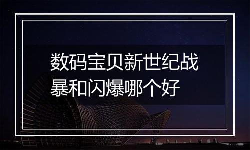 数码宝贝新世纪战暴和闪爆哪个好