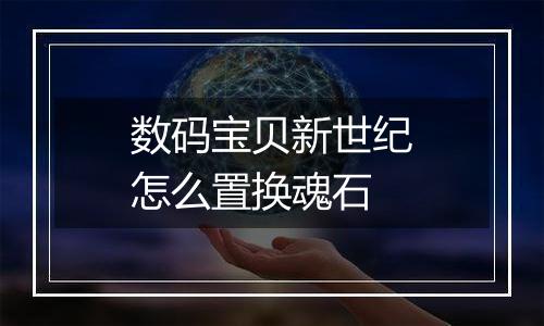 数码宝贝新世纪怎么置换魂石