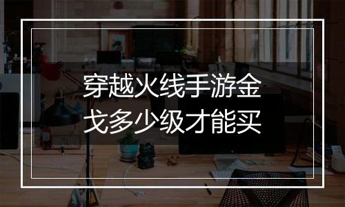 穿越火线手游金戈多少级才能买