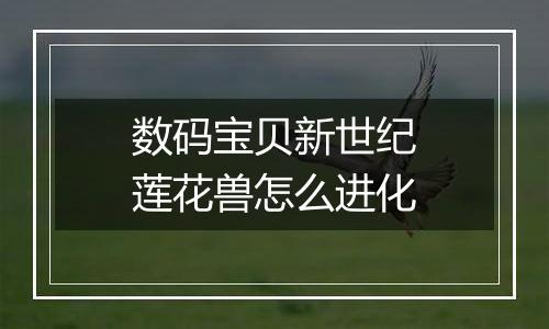 数码宝贝新世纪莲花兽怎么进化