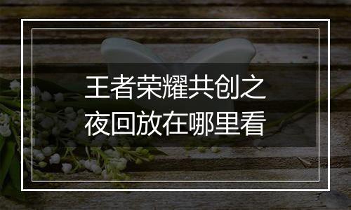 王者荣耀共创之夜回放在哪里看