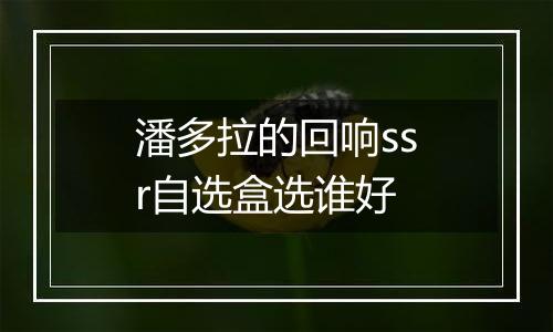 潘多拉的回响ssr自选盒选谁好