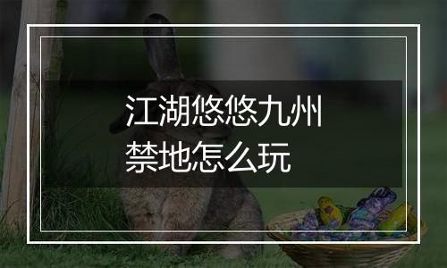 江湖悠悠九州禁地怎么玩