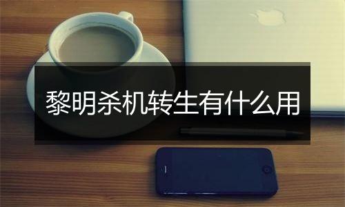 黎明杀机转生有什么用