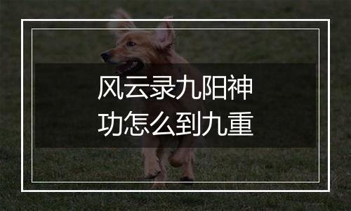 风云录九阳神功怎么到九重