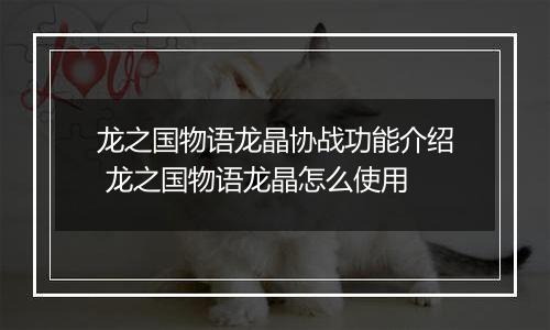 龙之国物语龙晶协战功能介绍 龙之国物语龙晶怎么使用