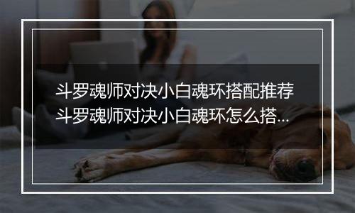 斗罗魂师对决小白魂环搭配推荐 斗罗魂师对决小白魂环怎么搭配