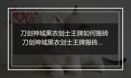 刀剑神域黑衣剑士王牌如何搬砖  刀剑神域黑衣剑士王牌搬砖方法介绍
