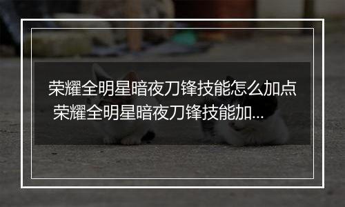 荣耀全明星暗夜刀锋技能怎么加点 荣耀全明星暗夜刀锋技能加点图解
