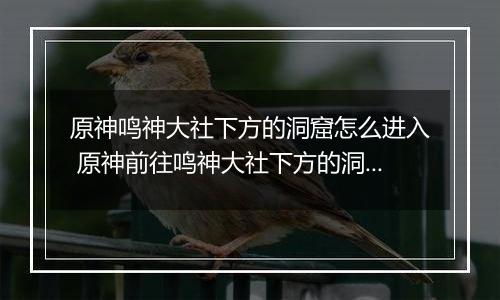 原神鸣神大社下方的洞窟怎么进入 原神前往鸣神大社下方的洞窟攻略