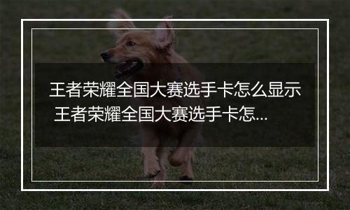 王者荣耀全国大赛选手卡怎么显示 王者荣耀全国大赛选手卡怎么获得