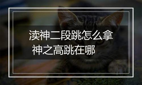 渎神二段跳怎么拿 神之高跳在哪