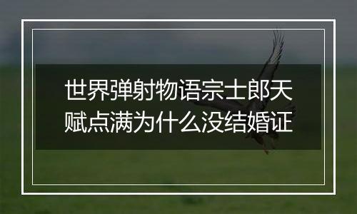 世界弹射物语宗士郎天赋点满为什么没结婚证