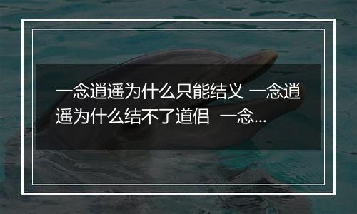 一念逍遥为什么只能结义 一念逍遥为什么结不了道侣  一念逍遥结义方法及条件一览