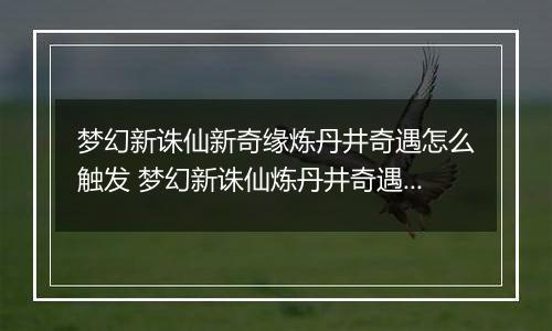 梦幻新诛仙新奇缘炼丹井奇遇怎么触发 梦幻新诛仙炼丹井奇遇触发攻略
