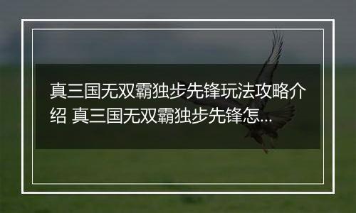 真三国无双霸独步先锋玩法攻略介绍 真三国无双霸独步先锋怎么玩