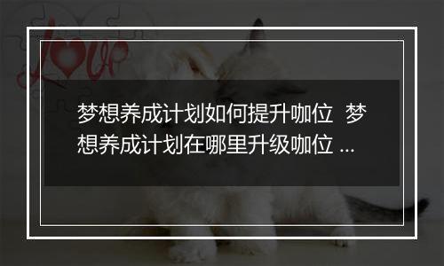 梦想养成计划如何提升咖位  梦想养成计划在哪里升级咖位 梦想养成计划升咖位方法介绍