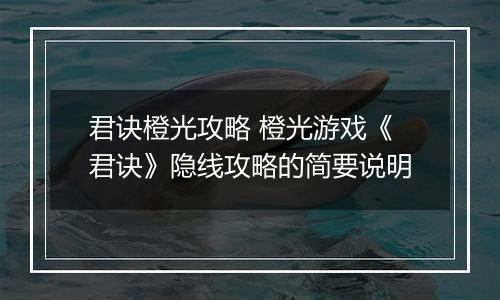 君诀橙光攻略 橙光游戏《君诀》隐线攻略的简要说明