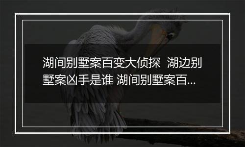 湖间别墅案百变大侦探  湖边别墅案凶手是谁 湖间别墅案百变大侦探解析
