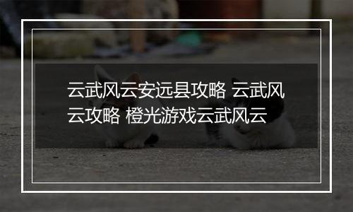 云武风云安远县攻略 云武风云攻略 橙光游戏云武风云