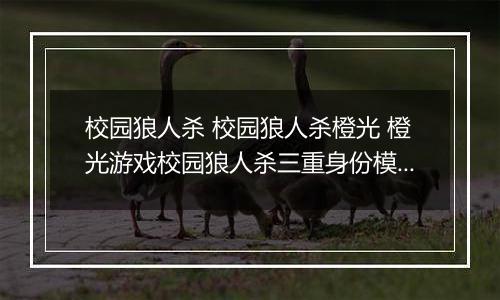 校园狼人杀 校园狼人杀橙光 橙光游戏校园狼人杀三重身份模式自己视角分析