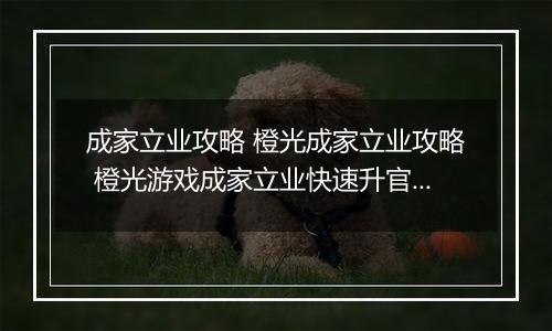 成家立业攻略 橙光成家立业攻略 橙光游戏成家立业快速升官攻略