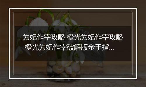 为妃作宰攻略 橙光为妃作宰攻略 橙光为妃作宰破解版金手指2022